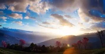 明媚时光,探寻阳光下的美好瞬间