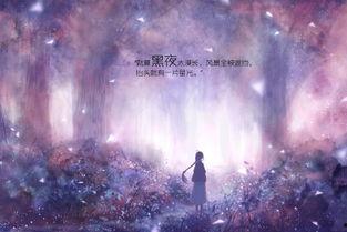 那一片星光,指引梦想的璀璨指引