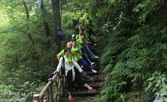 穿越原始,探寻史前文明的神秘之旅