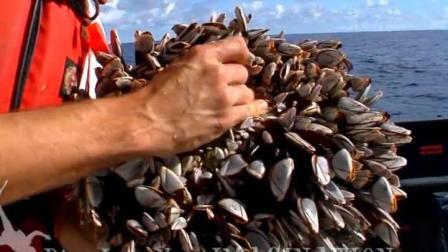 送葬寄生,揭秘神秘生物的生死轮回